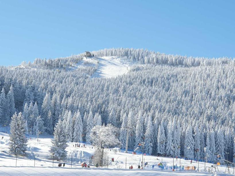 Name:  IMG-20210214-WA0005.jpg
Views: 91
Size:  97.6 KB