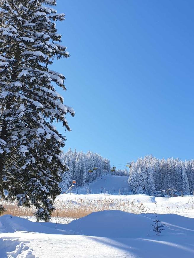 Name:  IMG-20210214-WA0006.jpg
Views: 91
Size:  95.7 KB