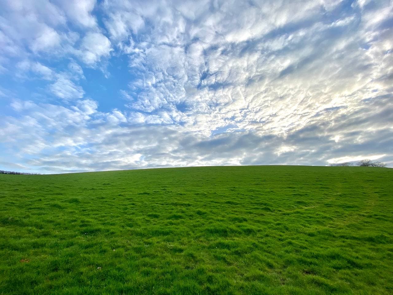 Name:  Cockington.jpg
Views: 180
Size:  143.4 KB