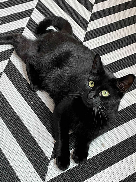 Name:  Drake2.jpg
Views: 291
Size:  258.4 KB