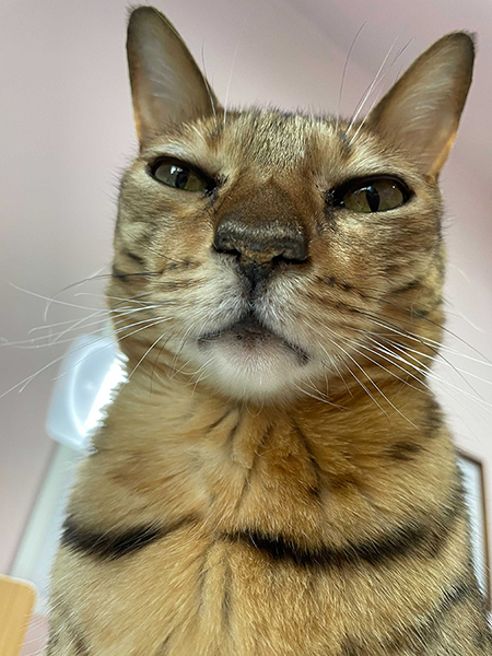 Name:  Arthur2.jpg
Views: 286
Size:  252.6 KB