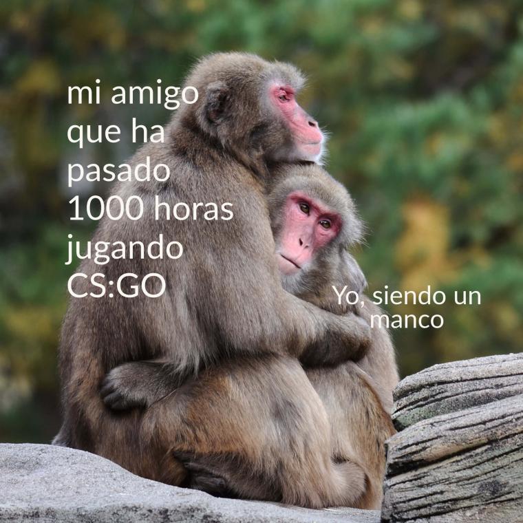 Name:  Memesvideojuegos.jpg
Views: 3603
Size:  90.8 KB