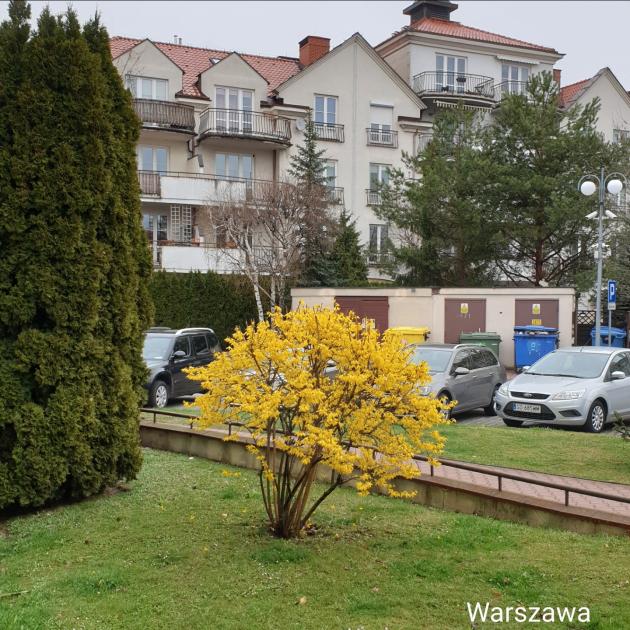 Name:  Screenshot_20220409-105608_Gallery.jpg
Views: 60
Size:  96.9 KB