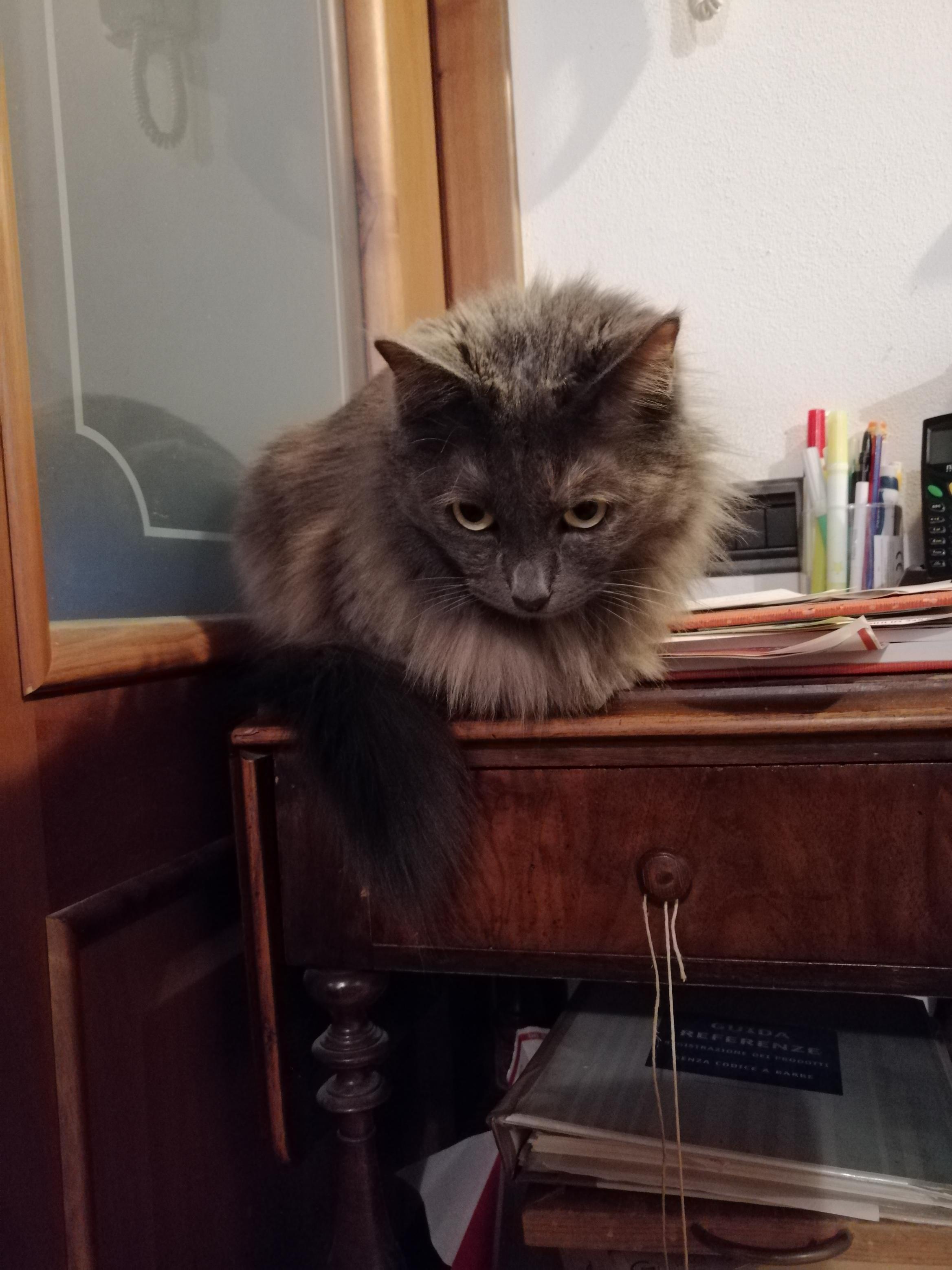 Name:  IMG_20210124_204043.jpg
Views: 240
Size:  483.5 KB