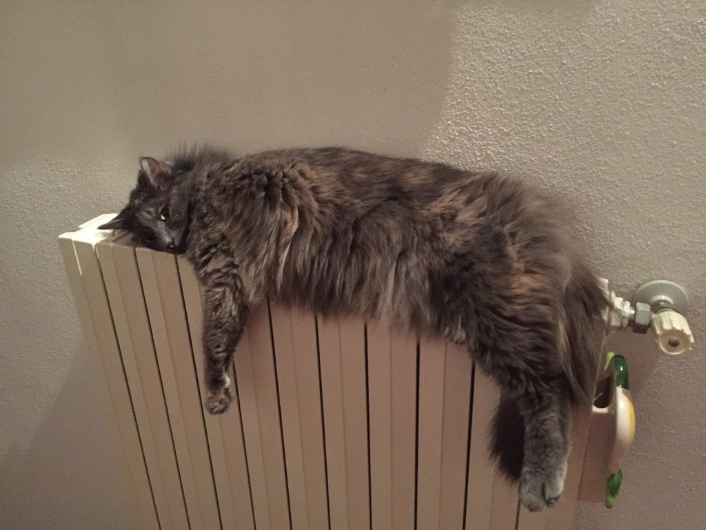 Name:  IMG-20210118-WA0003.jpg
Views: 250
Size:  80.0 KB