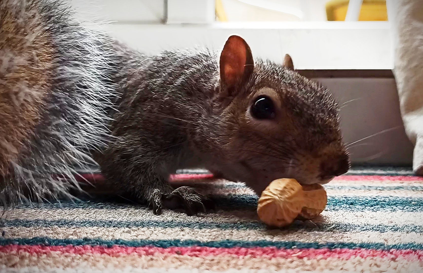 Name:  IMG_20200314_170937.jpg
Views: 229
Size:  394.8 KB