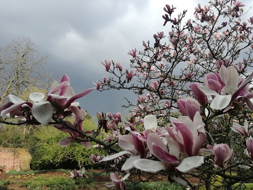 Name:  unnamed (3).jpg
Views: 557
Size:  77.7 KB