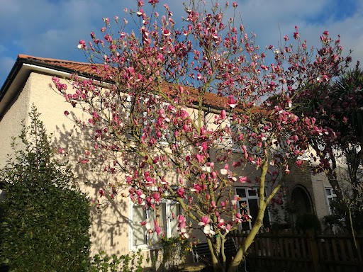 Name:  unnamed (2).jpg
Views: 154
Size:  94.3 KB