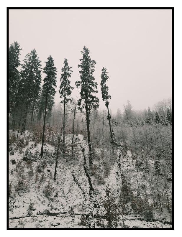 Name:  278236609_7544420755568819_9189030377007454647_n.jpg
Views: 36
Size:  97.0 KB