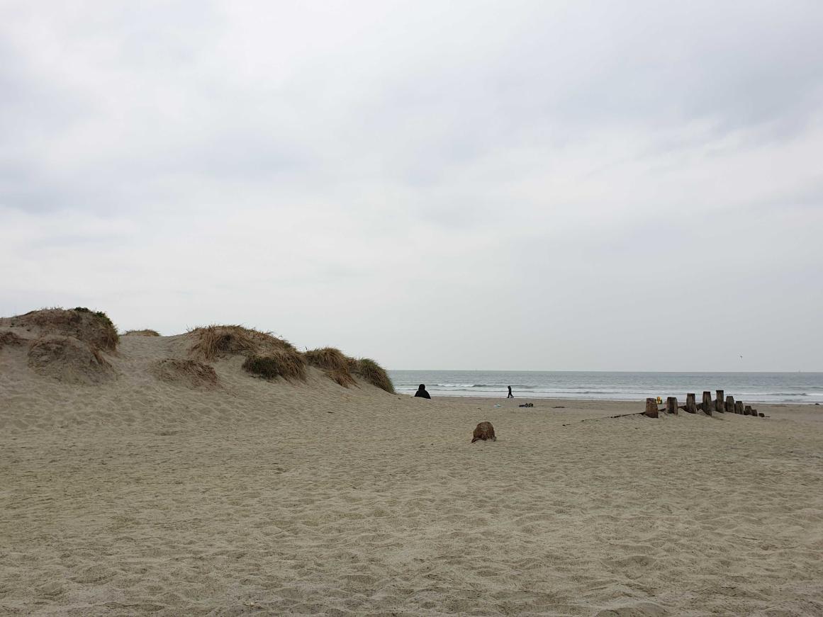 Name:  20220501_114255.jpg
Views: 87
Size:  96.5 KB