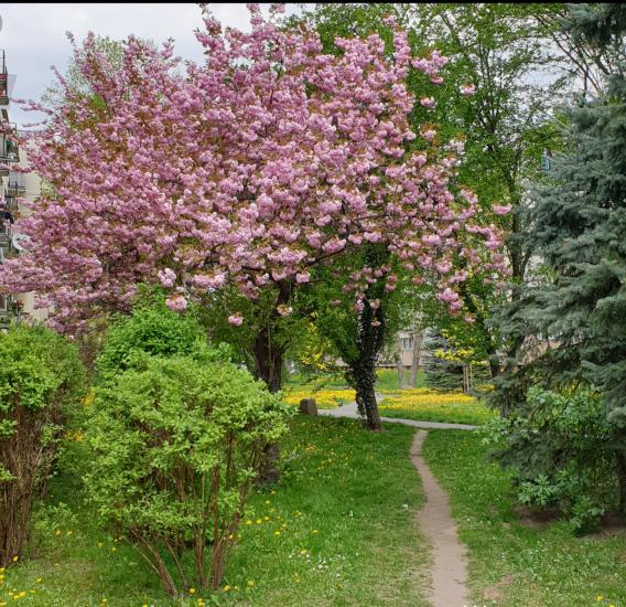 Name:  20220503_205806.jpg
Views: 107
Size:  99.1 KB