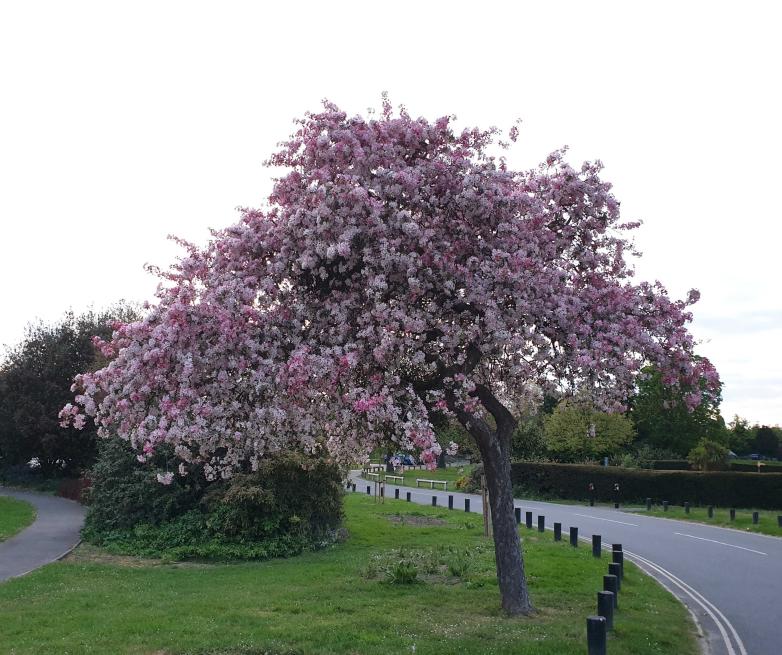 Name:  20220504_143326.jpg
Views: 102
Size:  96.7 KB