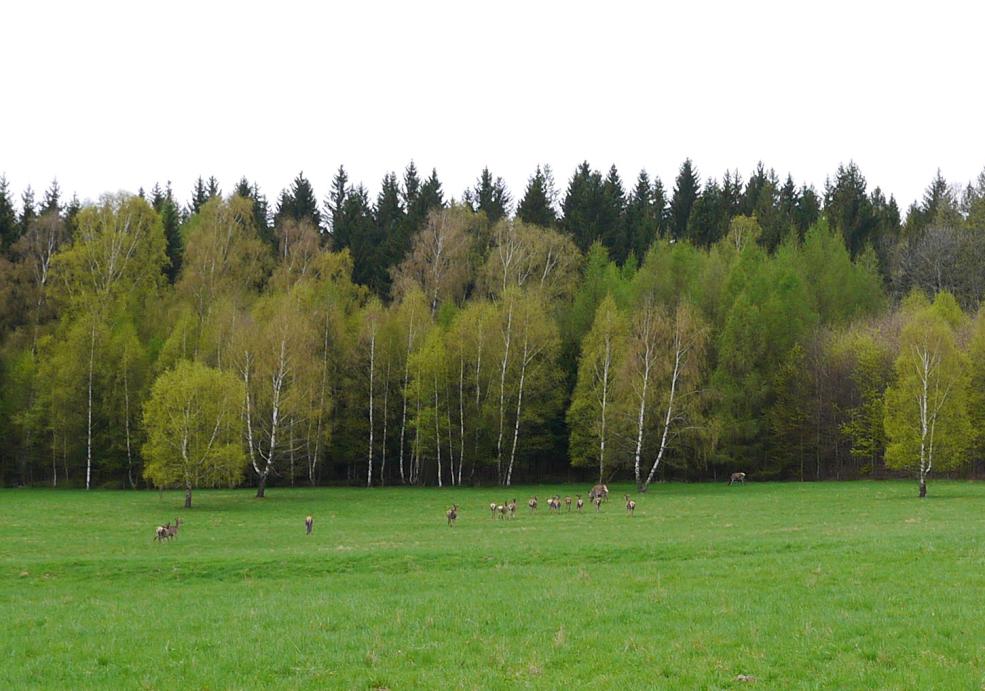 Name:  Clipboard02.jpg
Views: 83
Size:  95.9 KB