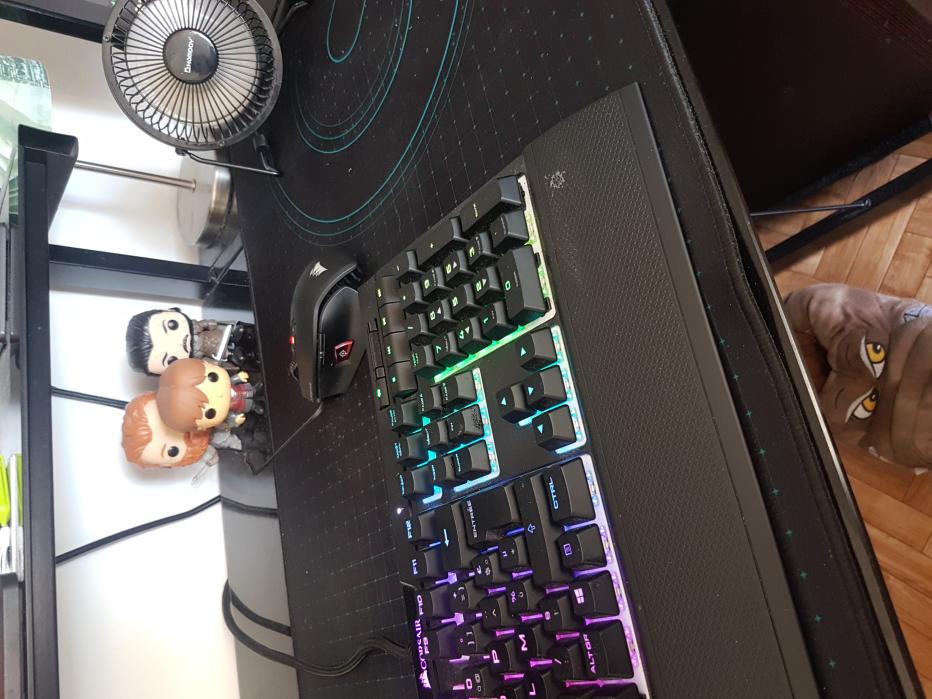 Name:  20220511_124636.jpg
Views: 597
Size:  93.7 KB