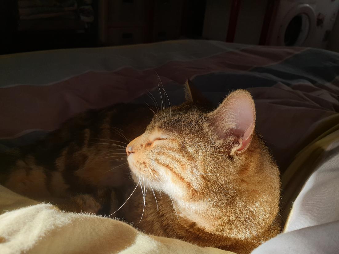 Name:  20191226_150353.jpg
Views: 148
Size:  94.3 KB