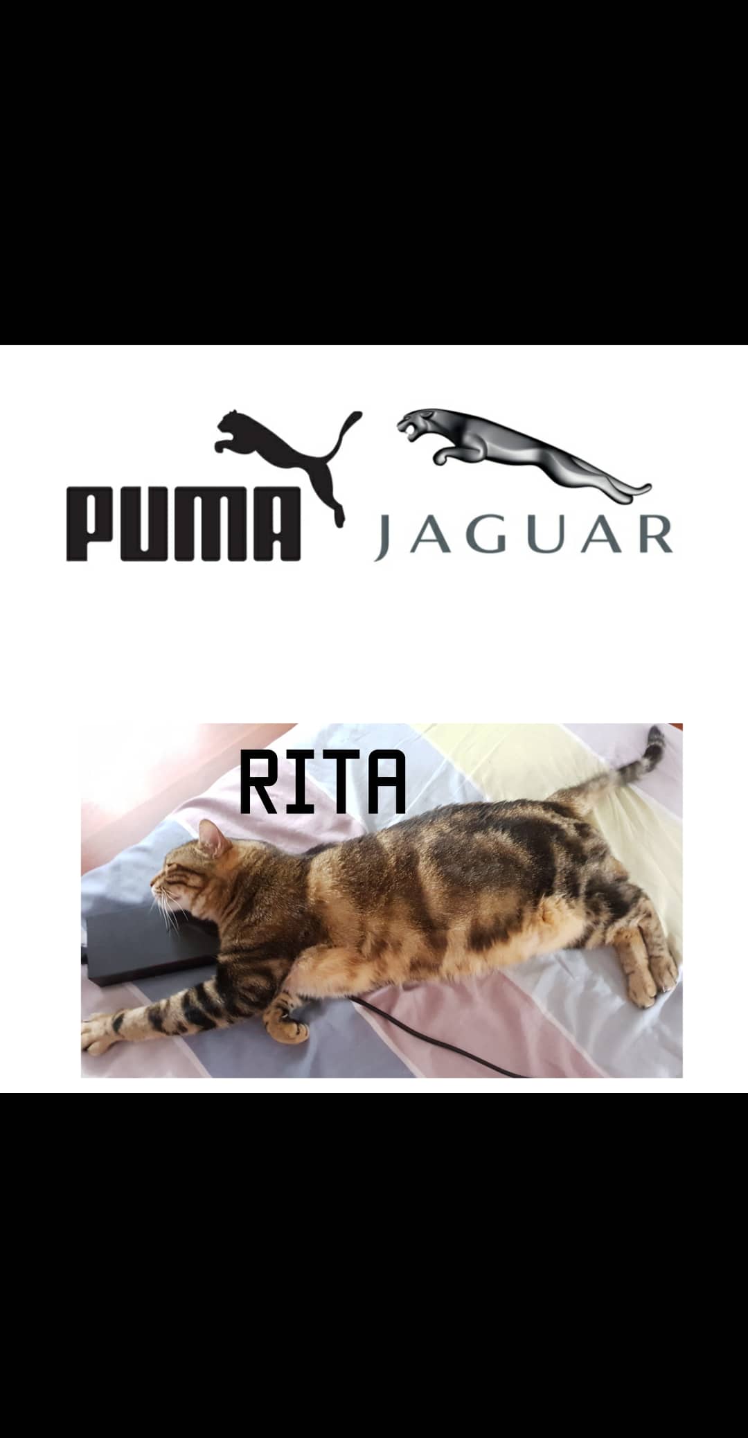 Name:  IMG_20200504_162450_046.jpg
Views: 72
Size:  61.8 KB