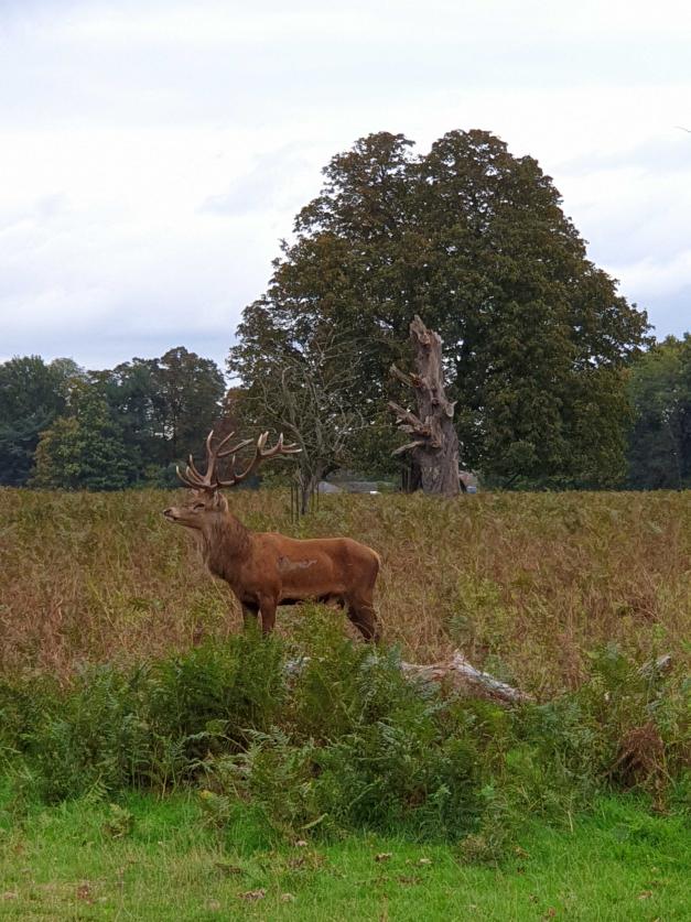 Name:  20201010_153846.jpg
Views: 34
Size:  97.2 KB