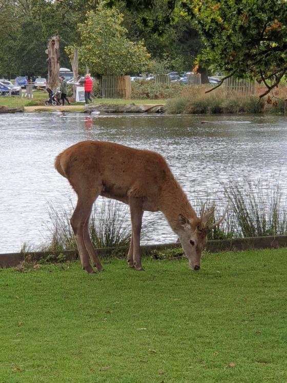 Name:  20201010_155339.jpg
Views: 36
Size:  98.5 KB