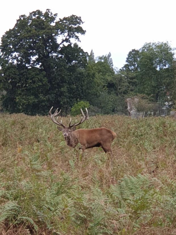 Name:  20201010_155008.jpg
Views: 36
Size:  97.3 KB