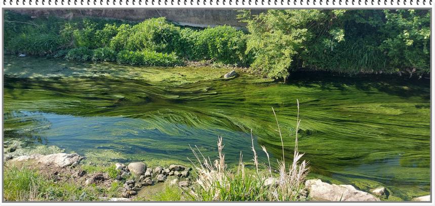 Name:  torrente.jpg
Views: 161
Size:  100.9 KB