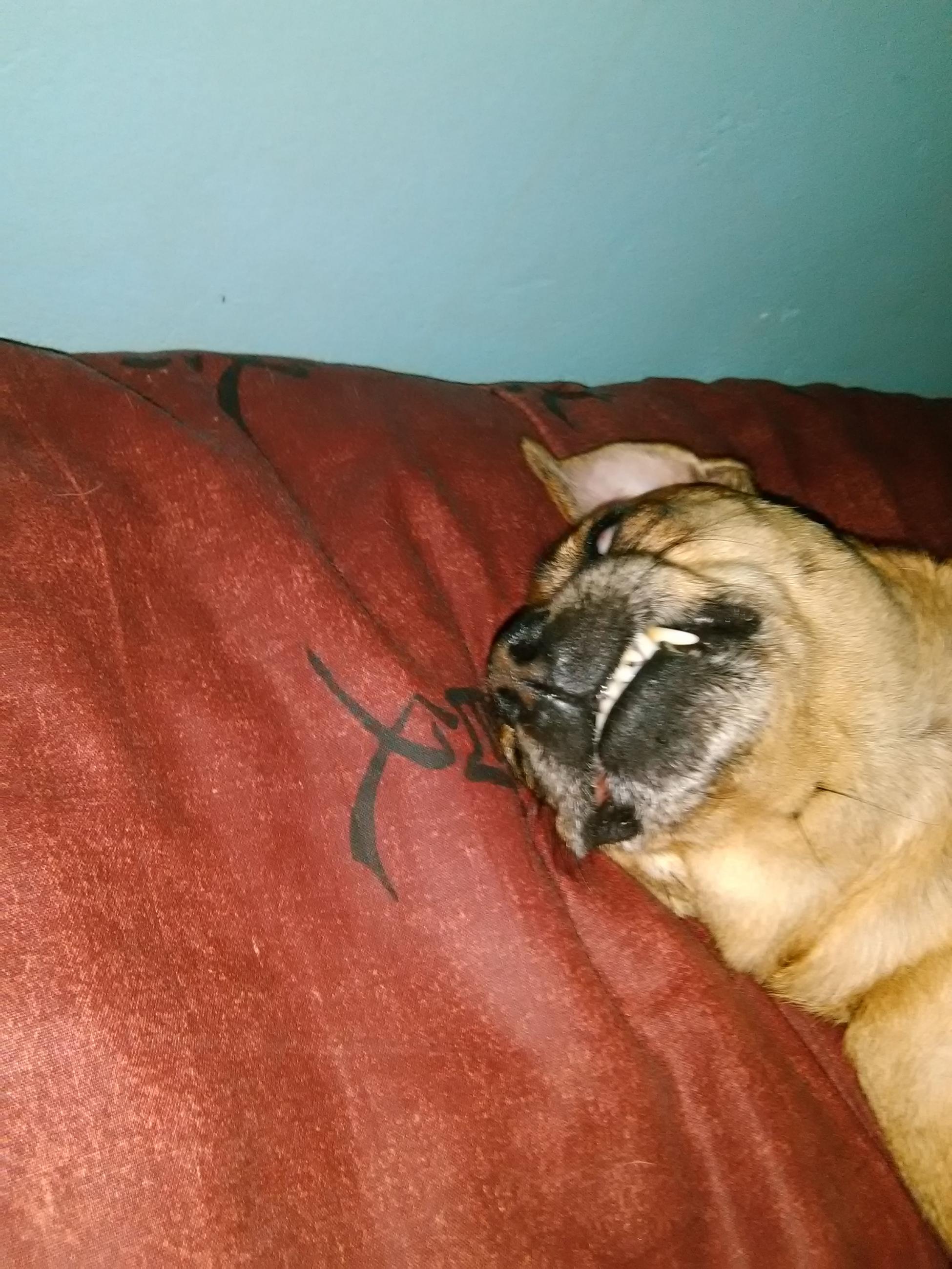 Name:  IMG_20170312_221801.jpg
Views: 225
Size:  505.0 KB