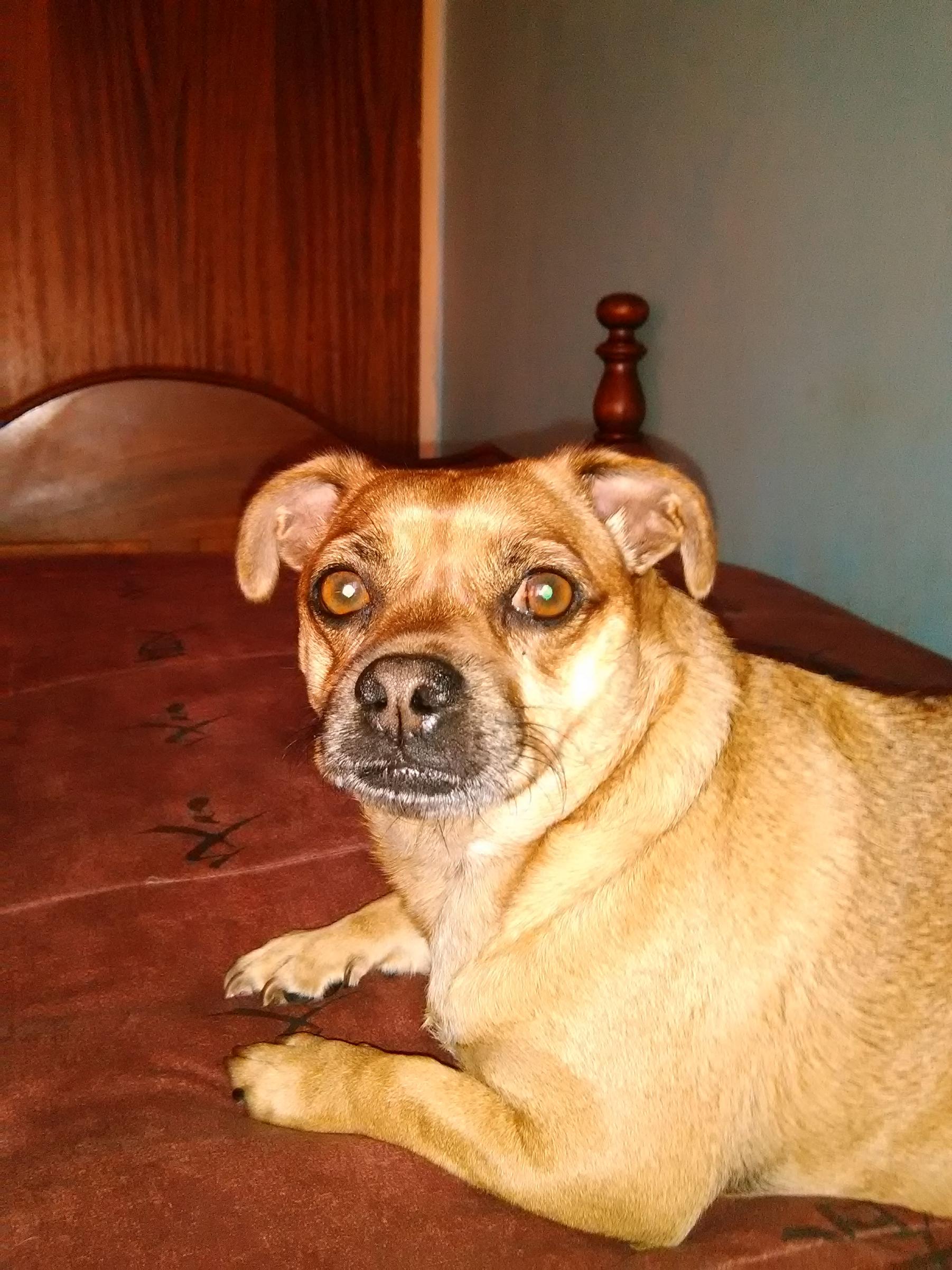 Name:  IMG_20170325_095402.jpg
Views: 221
Size:  500.4 KB