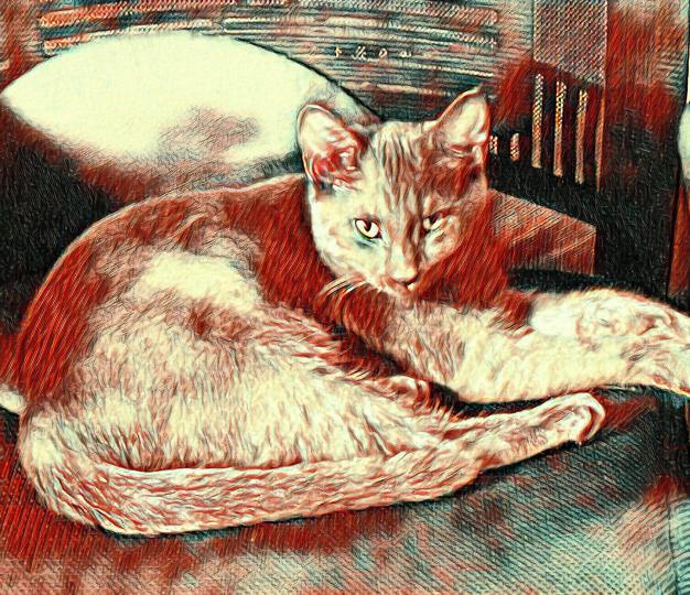 Name:  KITTY 2.jpg
Views: 81
Size:  98.4 KB