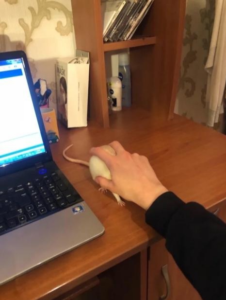 Name:  20220529_115621.jpg
Views: 72
Size:  49.9 KB