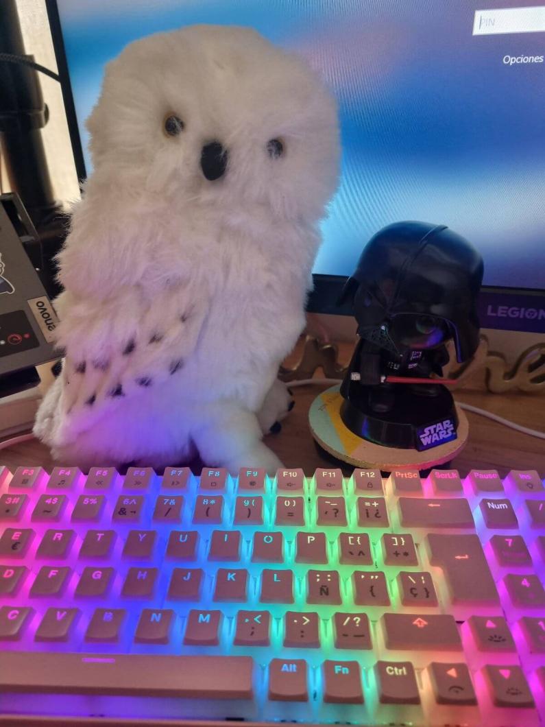 Name:  6d653801-c5d5-4e98-85d4-6eab3526c05c (1).jpg
Views: 52
Size:  86.9 KB