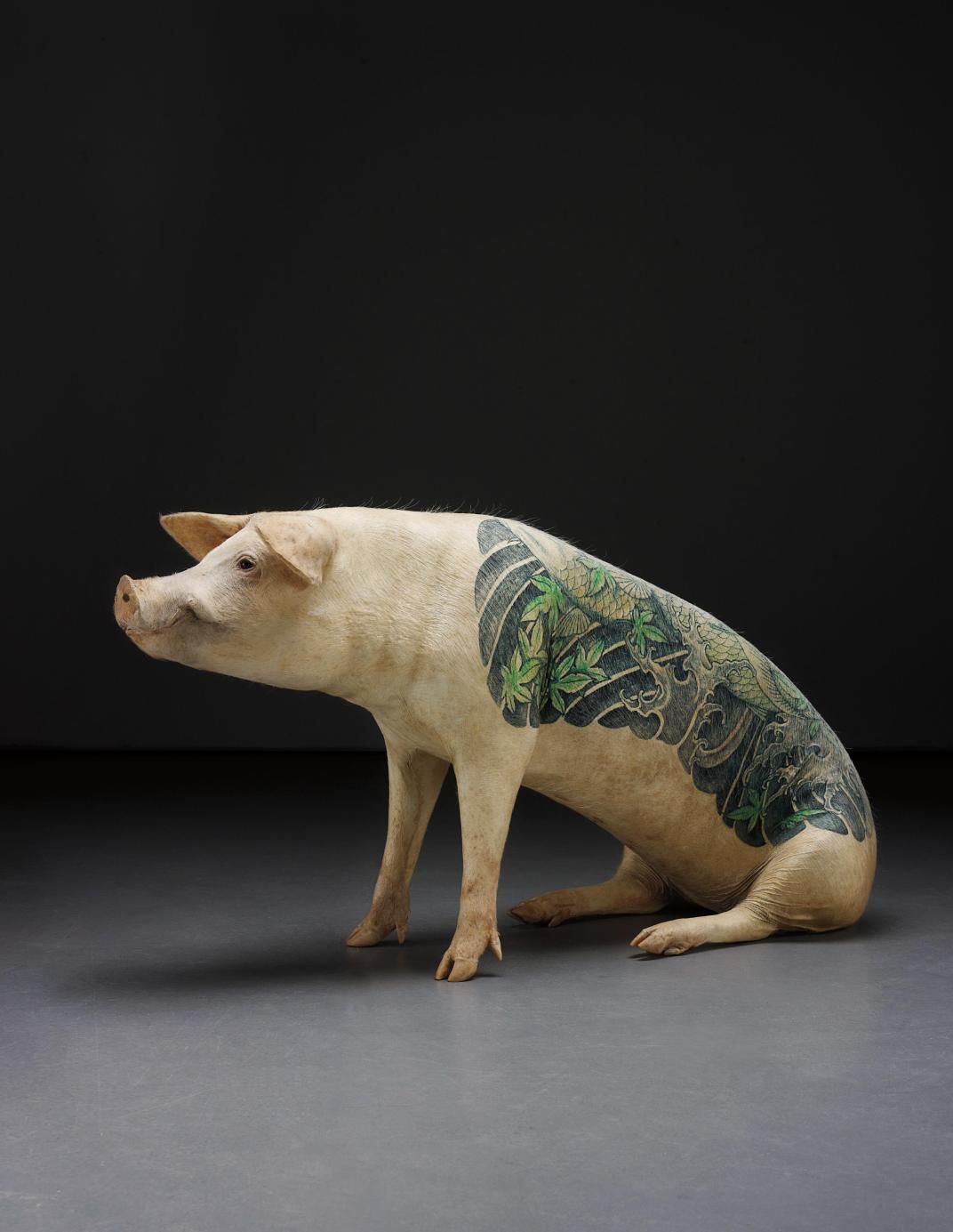 Name:  Wim-Delvoye-Untitled-Koi-2008-stuffed-and-tattooed-pig-68x132x46cm.jpg
Views: 63
Size:  93.4 KB