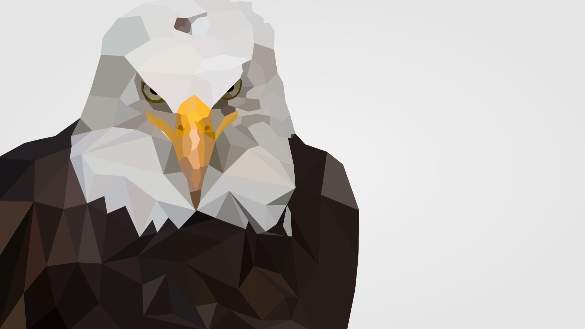 Name:  Eagle Abstract.jpg
Views: 67
Size:  62.9 KB