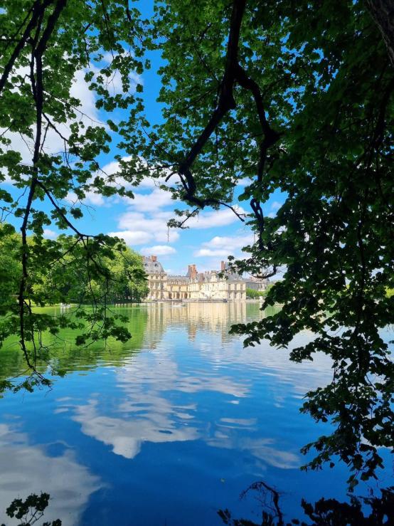 Name:  6219f160-a7ea-4209-8bb5-6b954a80b682 (1).jpg
Views: 30
Size:  100.5 KB