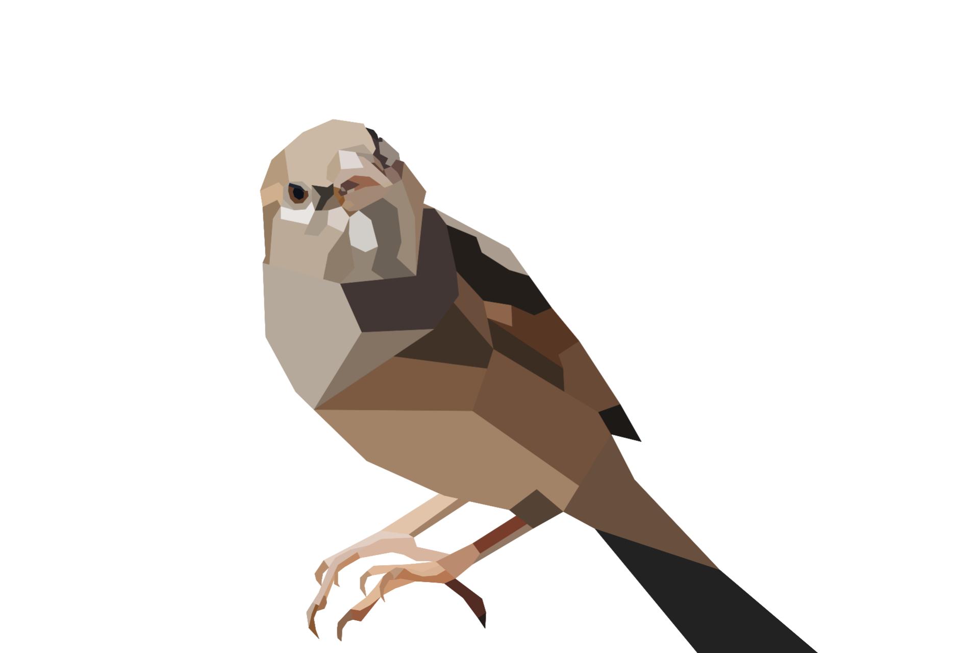 Name:  bird poly.jpg
Views: 52
Size:  65.2 KB