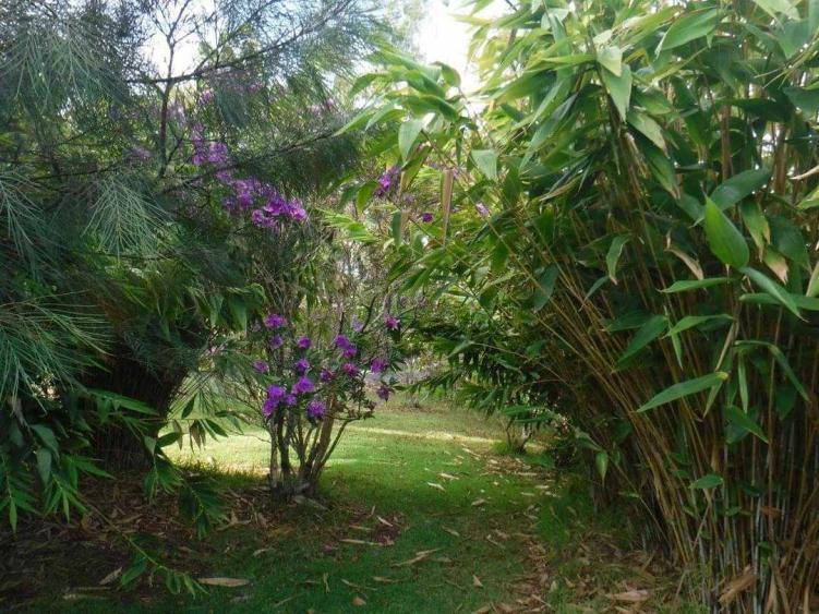 Name:  FB_IMG_1655378702237.jpg
Views: 56
Size:  99.5 KB