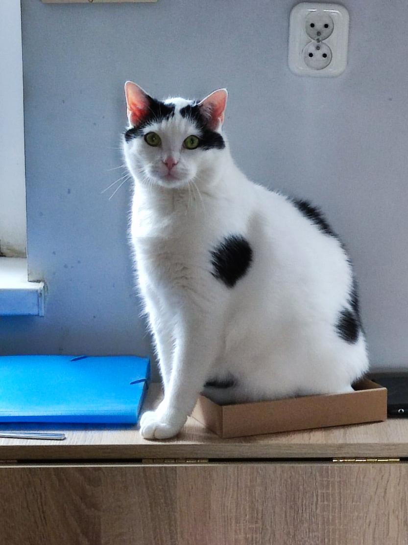 Name:  IMG_20220613_153735.jpg
Views: 78
Size:  92.1 KB