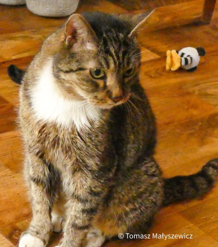 Name:  1190433.jpg
Views: 74
Size:  94.1 KB