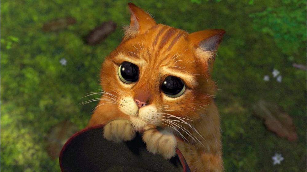 Name:  imagen_2022-06-20_145946424.jpg
Views: 32
Size:  61.0 KB