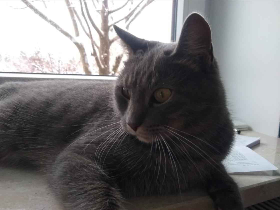 Name:  Screenshot_20220620-230041_Gallery.jpg
Views: 70
Size:  87.5 KB