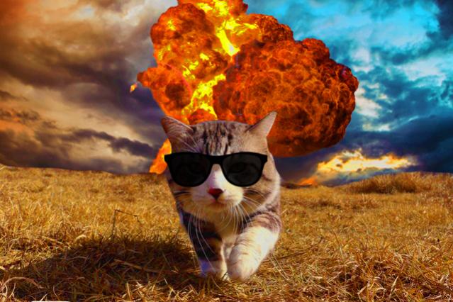 Name:  xFjK2NZ.jpg
Views: 382
Size:  55.4 KB