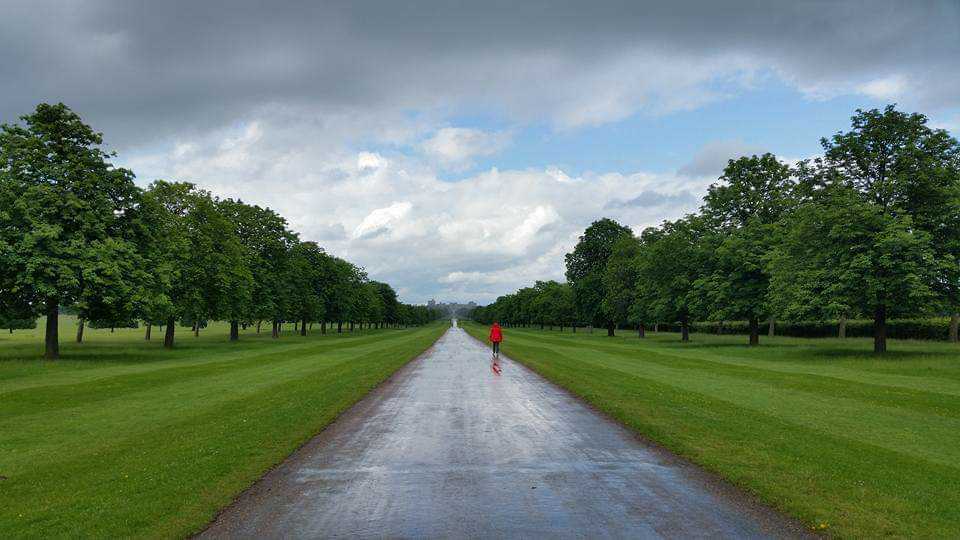 Name:  FB_IMG_1576008335739.jpg
Views: 96
Size:  53.8 KB