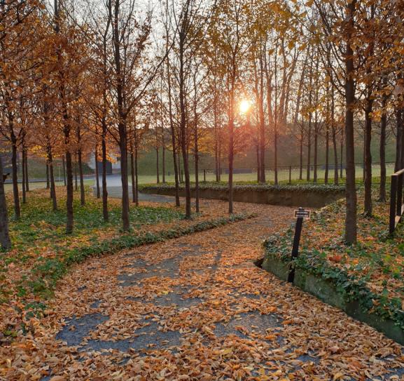 Name:  20220625_115815.jpg
Views: 32
Size:  99.4 KB