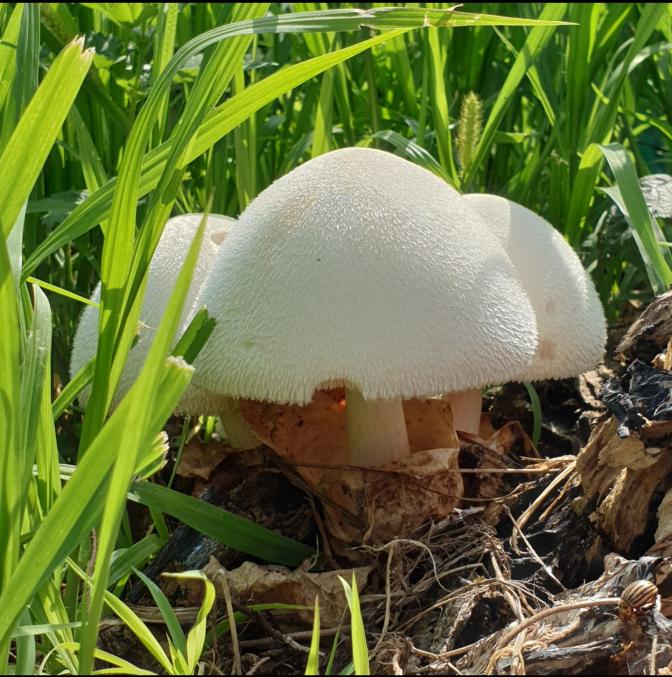 Name:  20220625_120601.jpg
Views: 78
Size:  94.4 KB