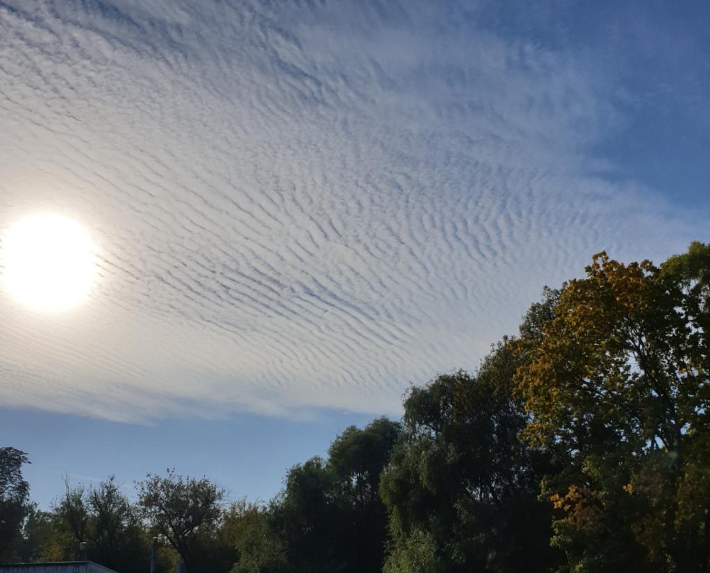 Name:  20220625_120724.jpg
Views: 79
Size:  88.0 KB