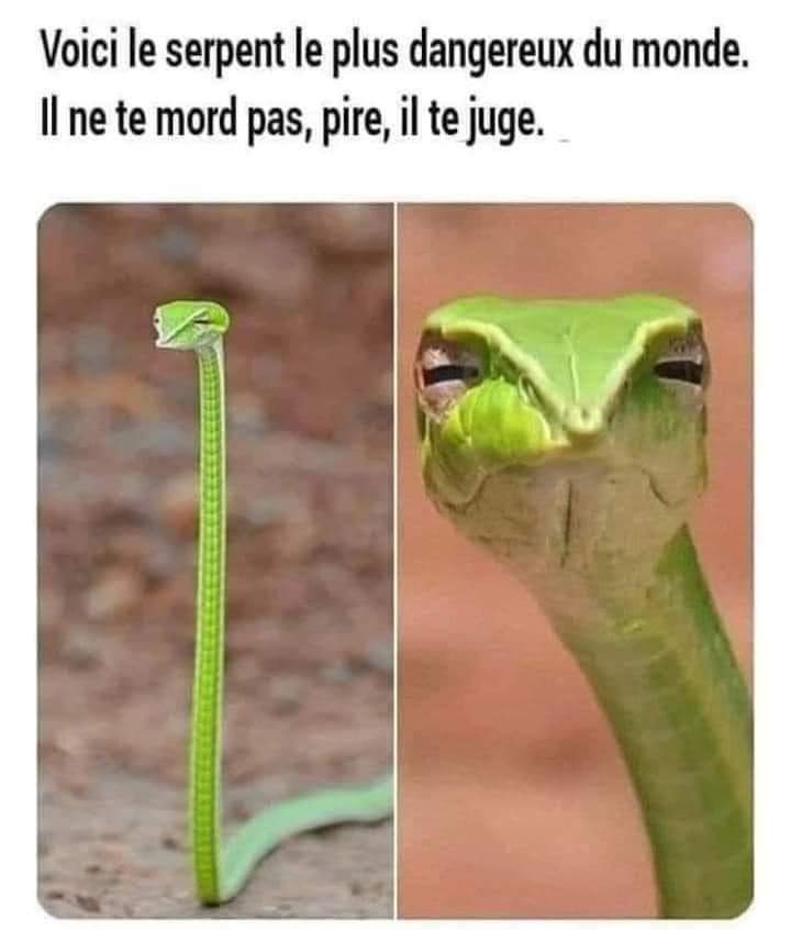 Name:  FWKcG-uXEAAeTBu.jpg
Views: 135
Size:  34.8 KB