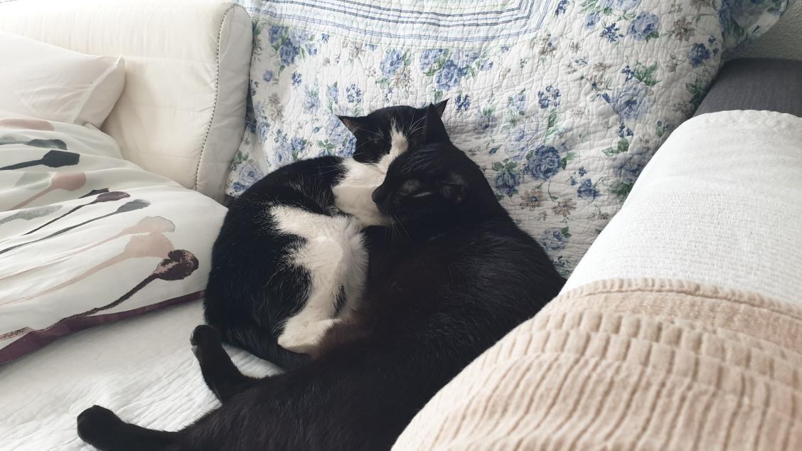 Name:  20191206_162249.jpg
Views: 93
Size:  97.1 KB