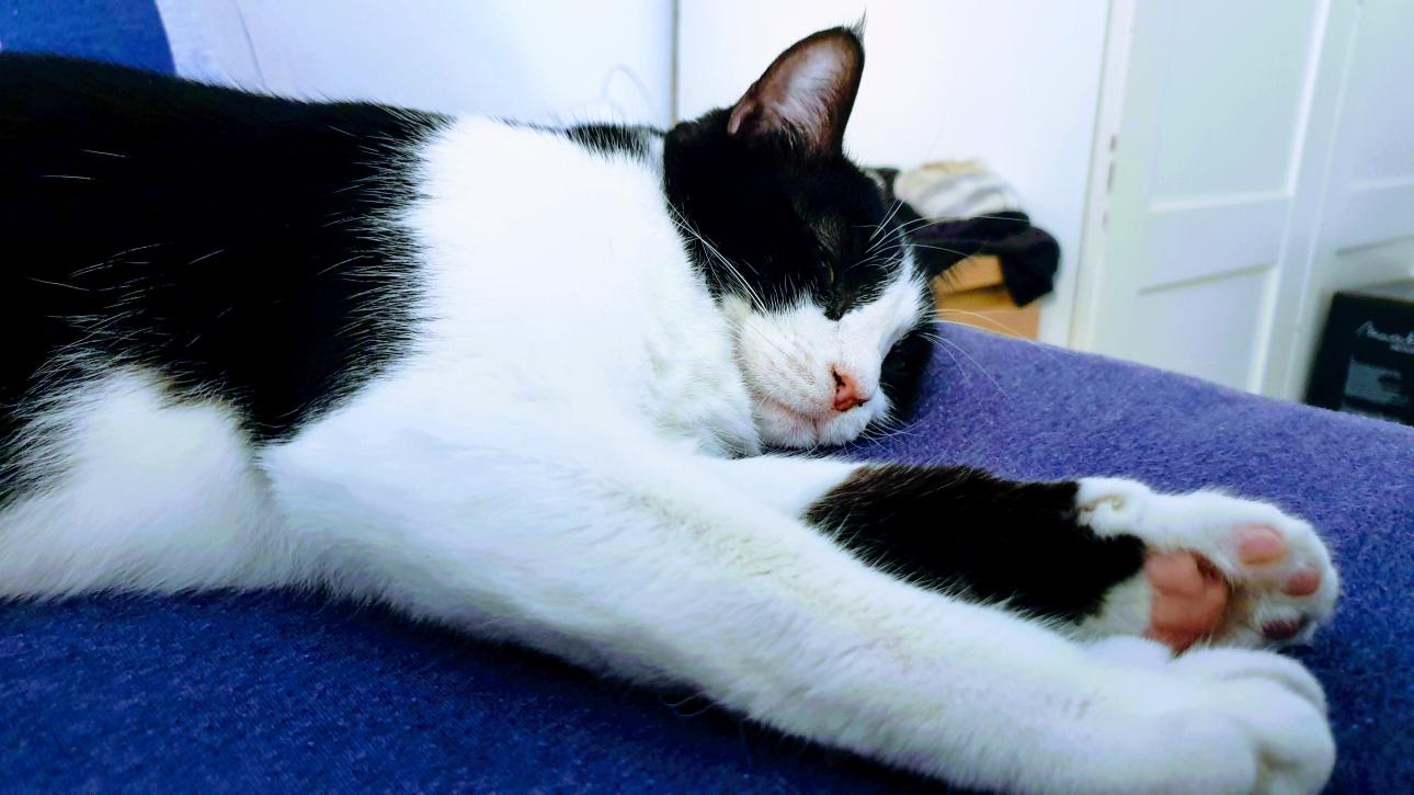 Name:  EFFECTS.jpg
Views: 90
Size:  92.7 KB