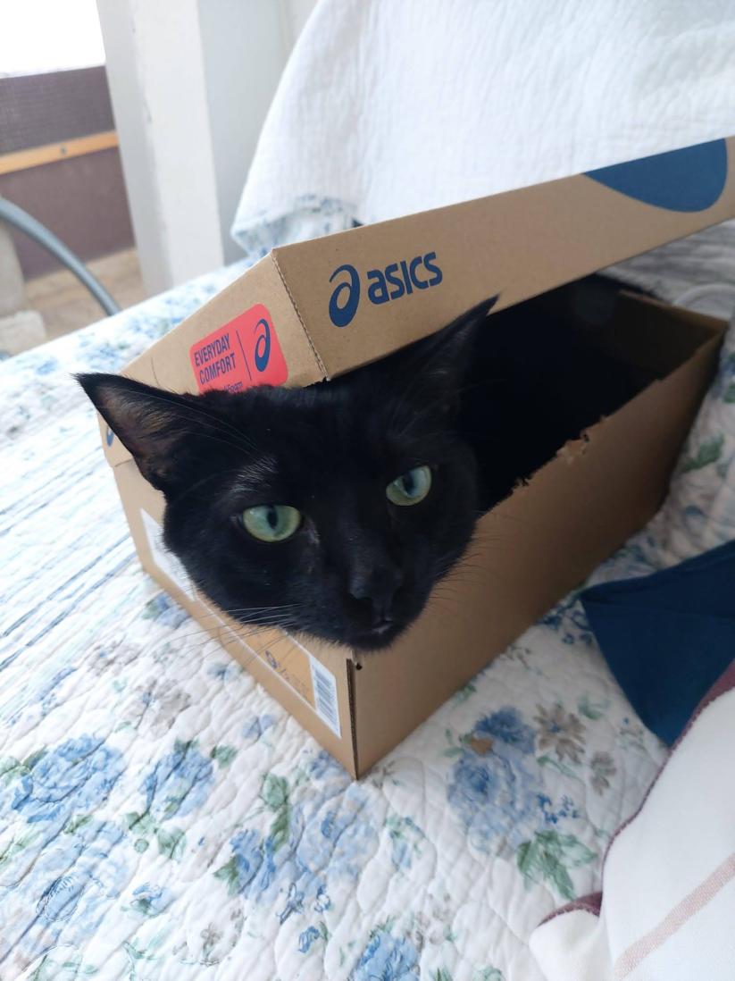 Name:  IMG-20210829-WA0005.jpg
Views: 95
Size:  84.2 KB