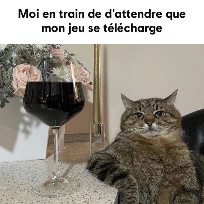 Name:  FXE1srVWYAE_RM3.jpg
Views: 44
Size:  95.8 KB