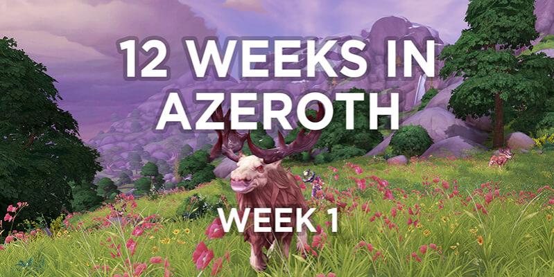 Name:  12_weeks_in_azeroth_competition_wk01re.jpg
Views: 169
Size:  73.2 KB