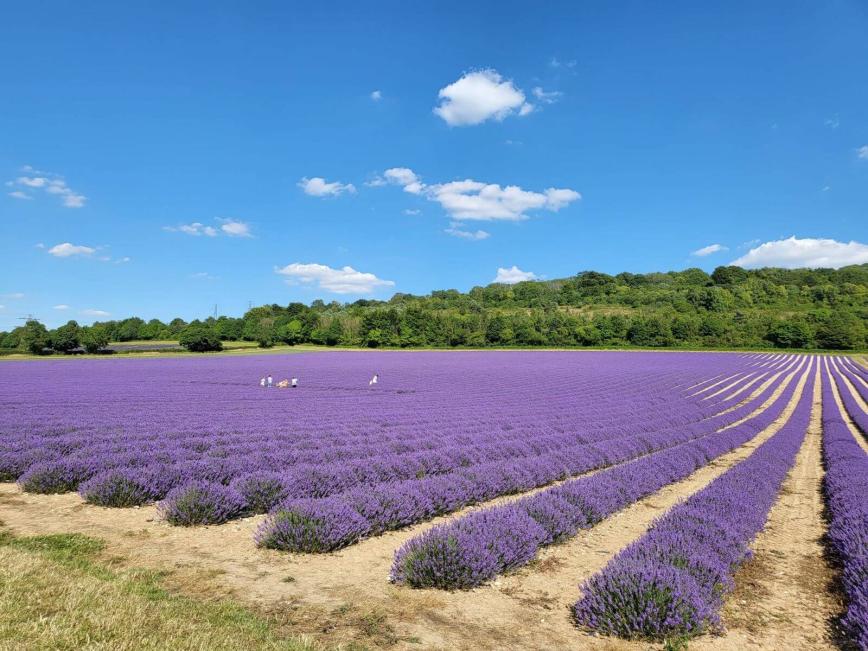 Name:  FotosVacaciones.jpg
Views: 71
Size:  97.1 KB